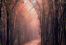 开云APP下载-全运会｜江苏女排夺冠 主教练施海荣将成绩归功于人才厚度