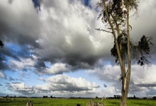 开云APP下载-全运会｜京沪相会乒乓球男团决赛 河北山东女团争冠