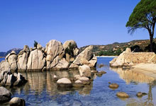 开云体育下载-女子百米跨栏冠军刘景扬：我不是“黑马”